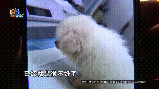 DƬ